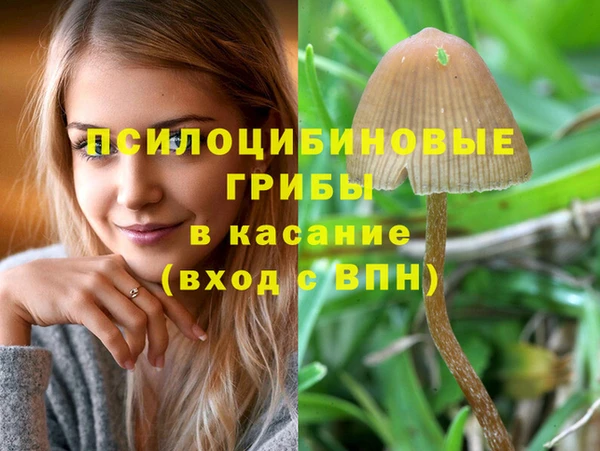 мдпв Остров