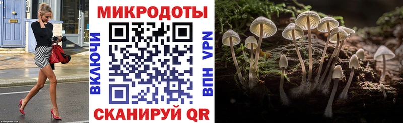 Псилоцибиновые грибы прущие грибы  Купить  Знаменск 